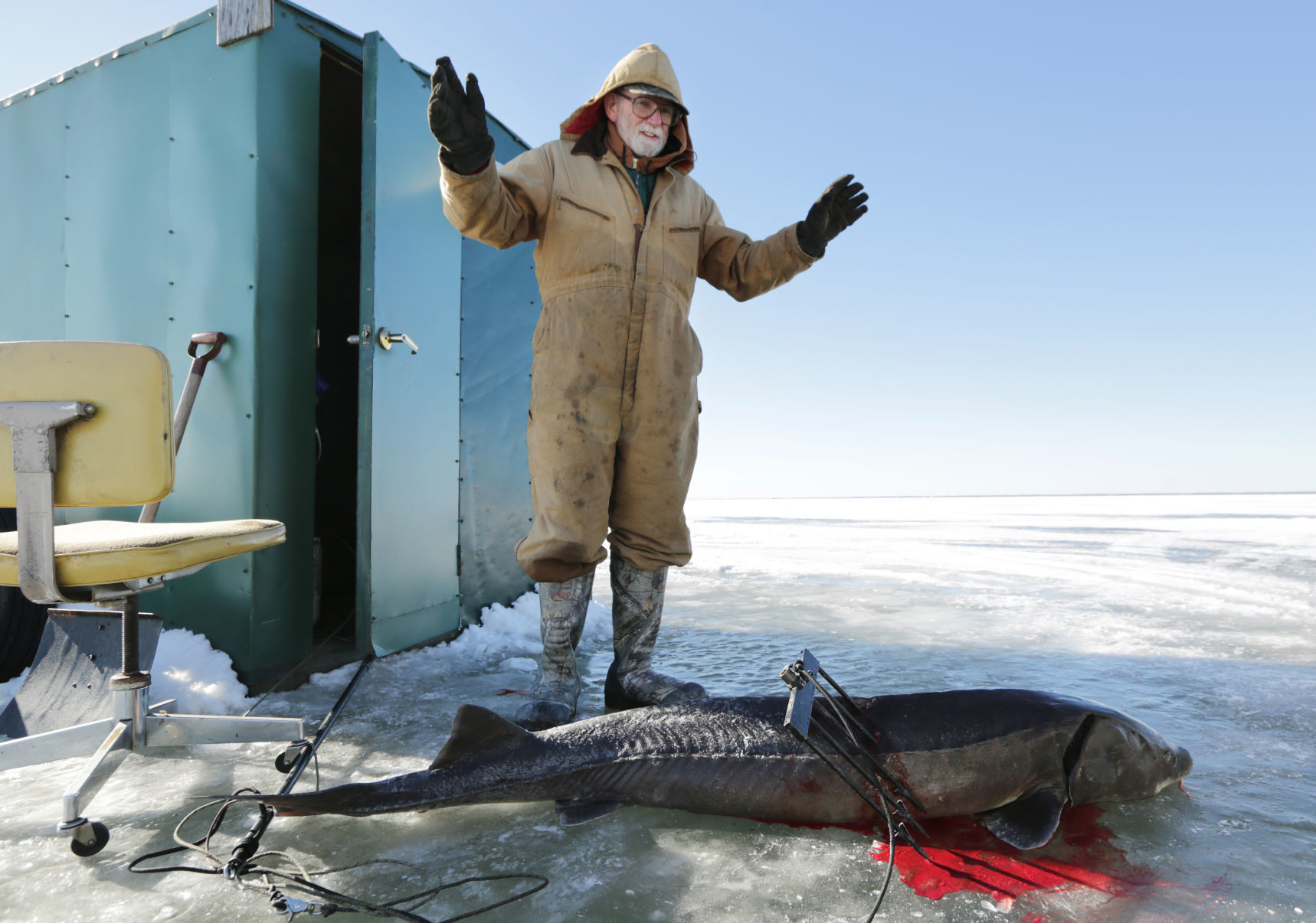 A sturgeon season with limited visibility